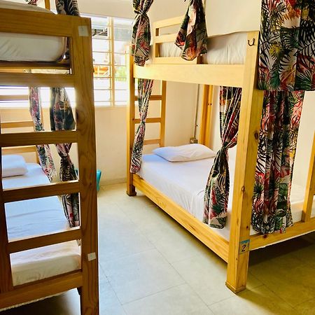 Oasis Cali Hostel Extérieur photo